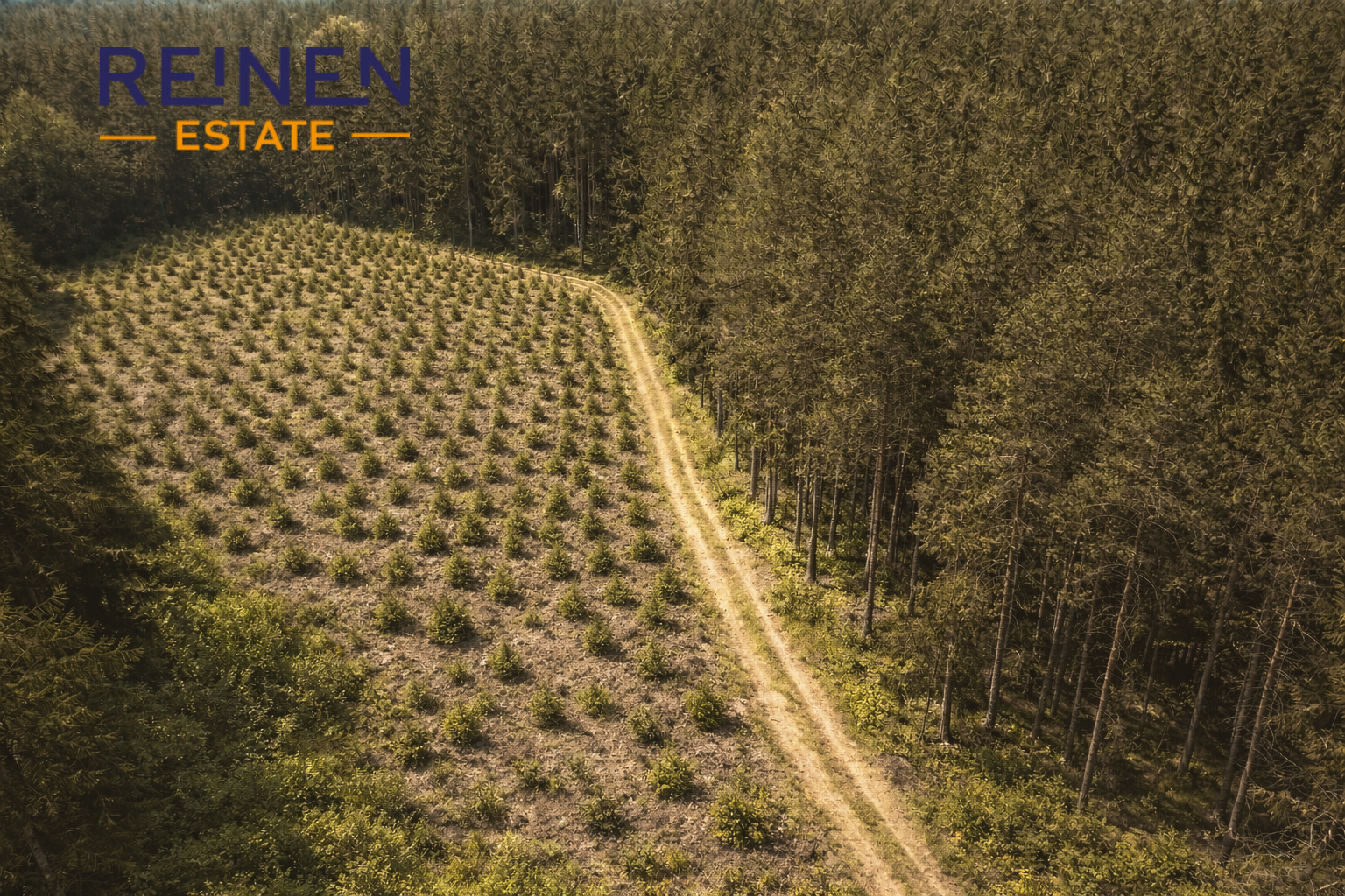 Nabídka prodeje lesního pozemku