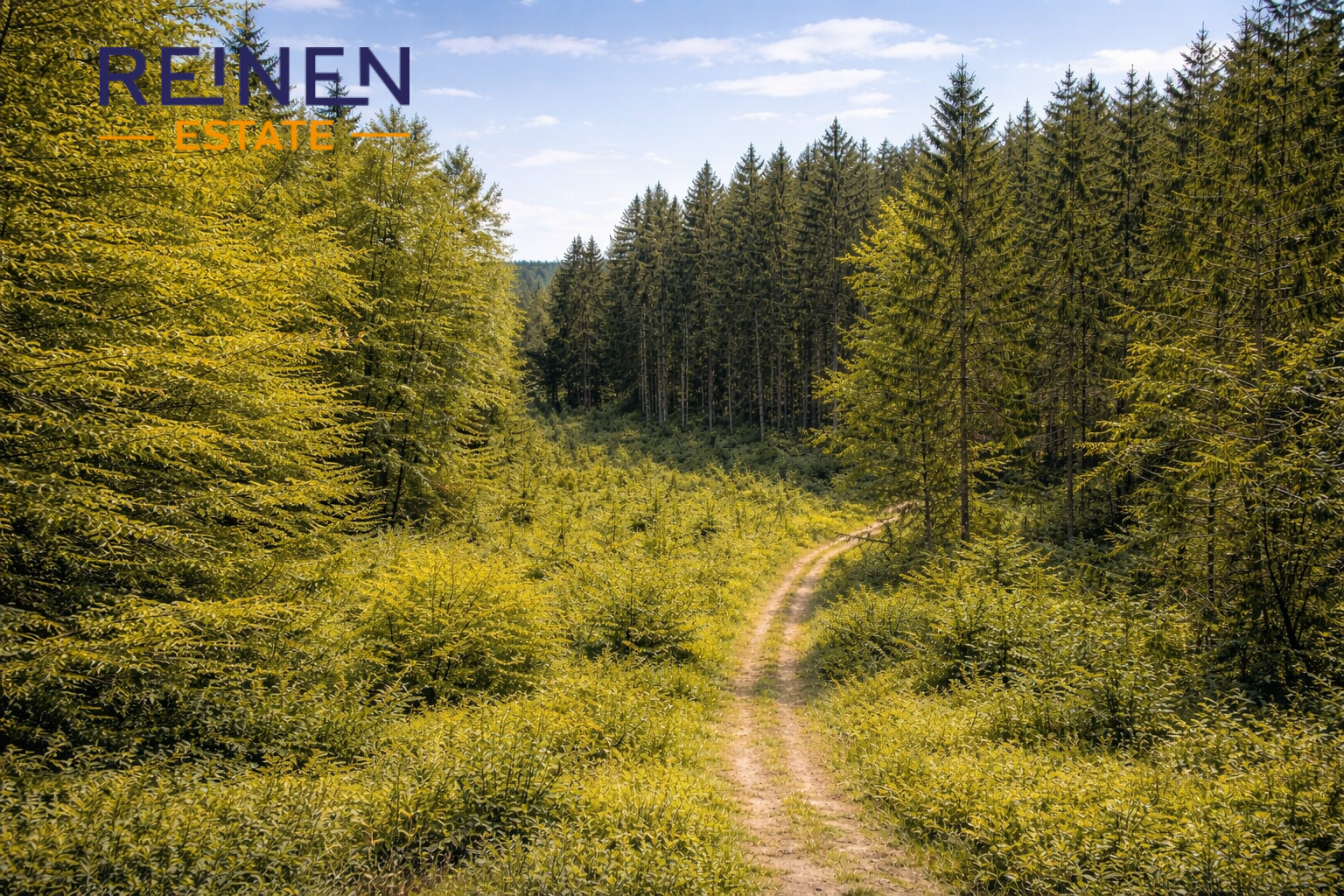 Prodeji lesního pozemku s hospodářským porostem