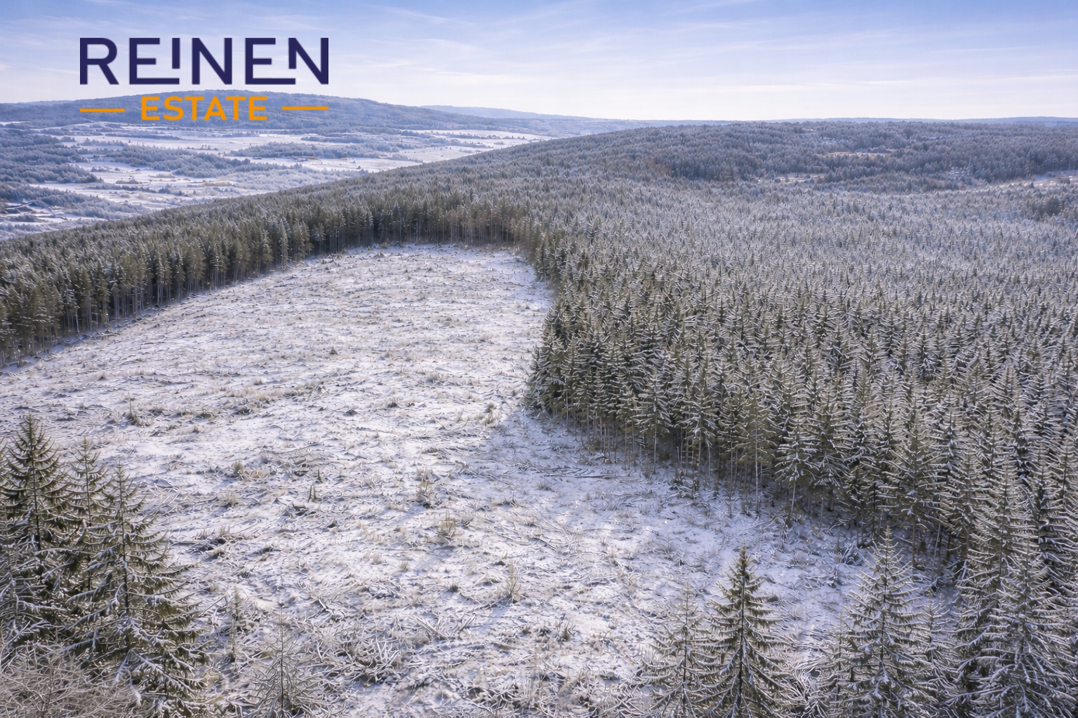 Prodej lesního pozemku – kombinace holiny a vzrostlého porostu