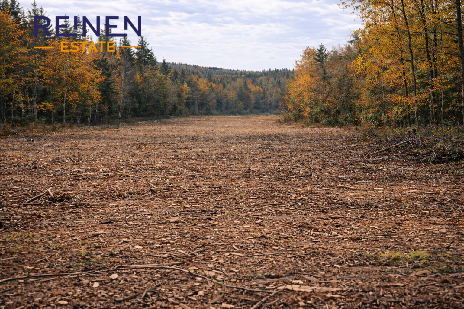 Prodej lesního pozemku