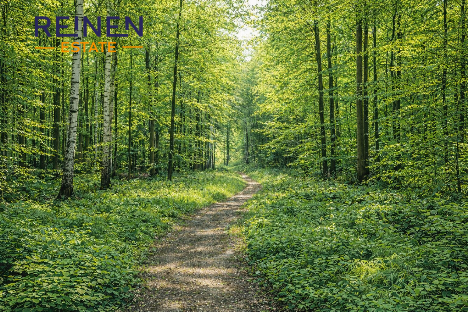 Prodej lesního pozemku-Vránov