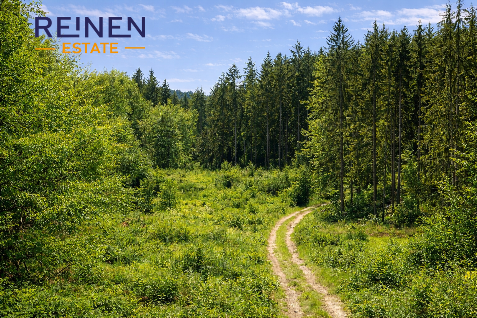 Prodej lesního pozemku Mladoňovice